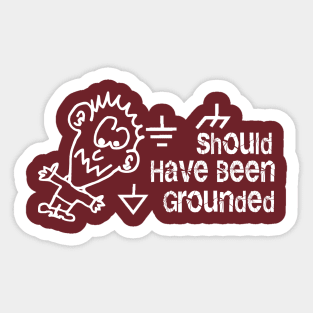 Electronics Should Have Been Grounded Sticker